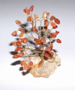 Copacel Feng Shui cu cristale de carneol