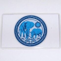 Card antifurt pentru anul 2025 - steaua #7