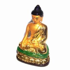Buddha al medicinei auriu