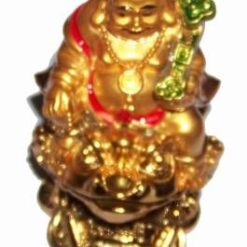 Buddha al bogatiei pe broasca cu Ru Y