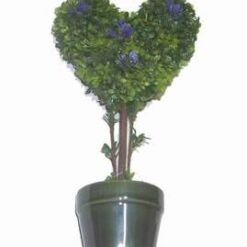 Copacel ornamental cu inimioara pentru succes in dragoste