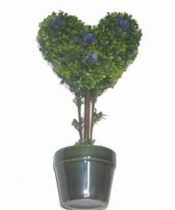 Copacel ornamental cu inimioara pentru succes in dragoste