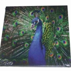 Tablou pe canvas cu paunul sucesului profesional