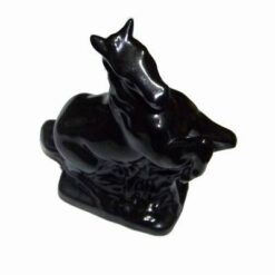 Calul succesului profesional