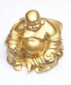 Buddha al succesului profesional auriu