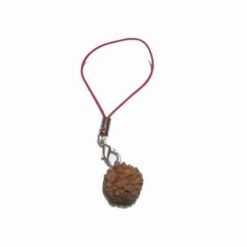 Canaf feng shui cu Rudraksha pentru succces profesional