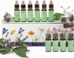 Kit Florile Bach - 33 esente + carte explicativa