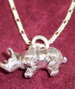 Rinocer din argint - remediu de protectie