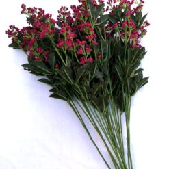 Florile rosii /visiniu ale iubirii - 11 fire