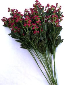 Florile rosii /visiniu ale iubirii - 11 fire