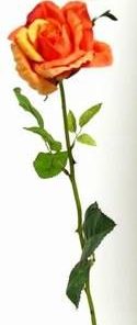 Trandafirul bucuriei si curajului  - 64 cm