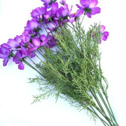 Floare mov pentru capul familiei - 9 fire