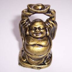 Buddha razand tanand o pepita deasupra capului