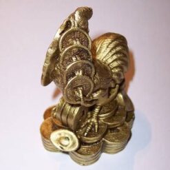 Cocos cu monede si pepite - Remediu Feng Shui