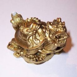 Testoasa dragon - remediu Feng Shui