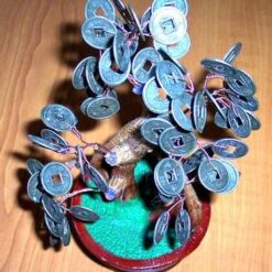 Copacel cu monede - remediu Feng Shui