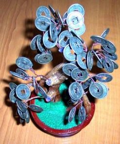 Copacel cu monede - remediu Feng Shui