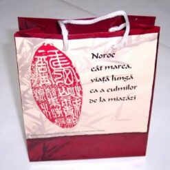Punguta din hartie lucioasa cu simboluri norocoase