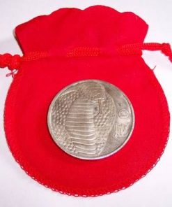 Moneda antica- Zodia Sarpe
