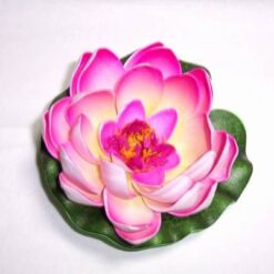 Lotus roz