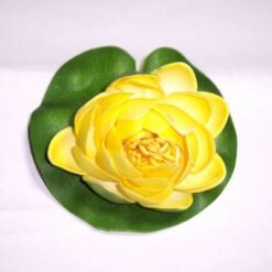 Lotus galben