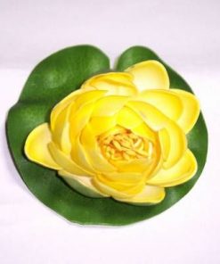 Lotus galben