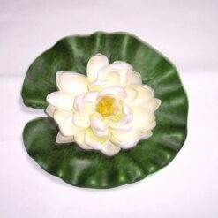 Lotus alb/crem