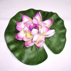 Lotus mov