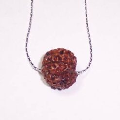 Rudraksha -putere si noroc