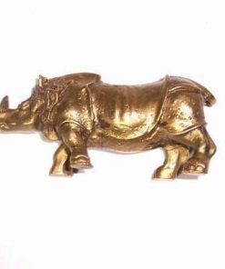Rinocerul auriu  - remediu Feng Shui