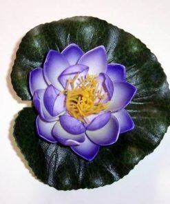 Lotus mov deschis