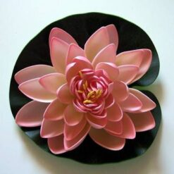 Lotus roz deschis