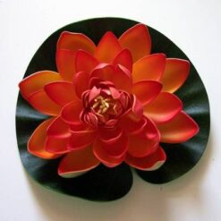 Lotus portocaliu