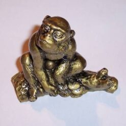 Remediu Feng Shui - Maimuta