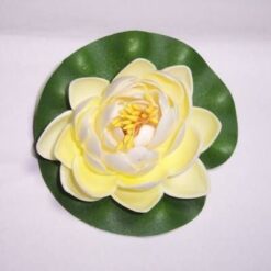 Lotus galben