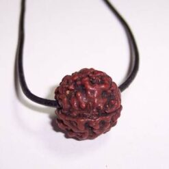 Pandantiv cu Rudraksha, pe siret negru