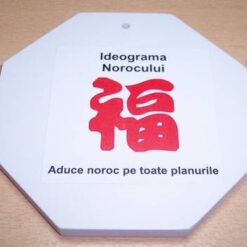 Tablou cu Bagua si Ideograma Norocului