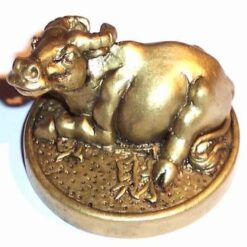Bivolul auriu pe moneda - remediu Feng Shui pentru copii