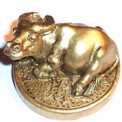 Bivolul auriu pe moneda - remediu Feng Shui pentru copii