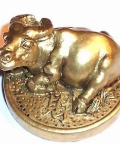 Bivolul auriu pe moneda - remediu Feng Shui pentru copii