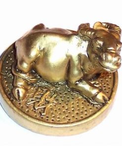Bivolul auriu pe moneda - remediu Feng Shui pentru copii