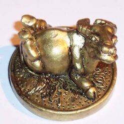 Bivolul auriu pe moneda - remediu Feng Shui pentru copii