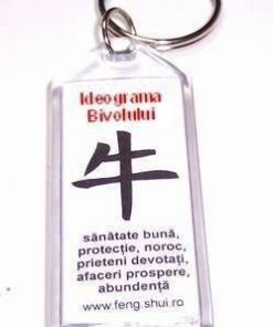 Breloc Feng Shui cu Simbolul Chinezesc al Bivolului !