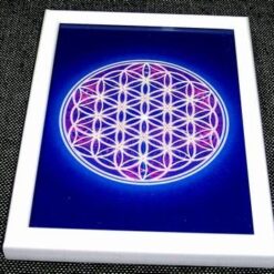 Mandala Feng Shui