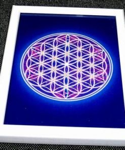 Mandala Feng Shui