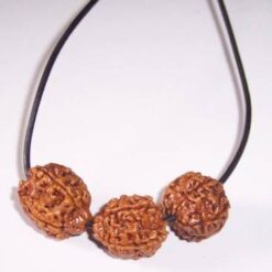 Colier Feng Shui cu Rudraksha, pe siret negru