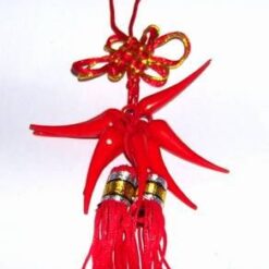 Canaf Feng Shui cu 8 ardei rosii - remediu de protectie