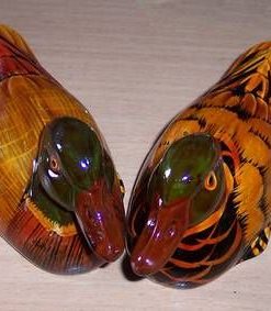 Ratele mandarine- remediu de dragoste