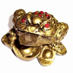 Broasca raioasa aurie cu cristale rosii - remediu Feng Shui