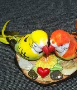 Papagalii dragostei - remediu Feng Shui